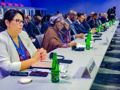 FMI-Banque mondiale : l’Union africaine défend le financement du développement et l’emploi
